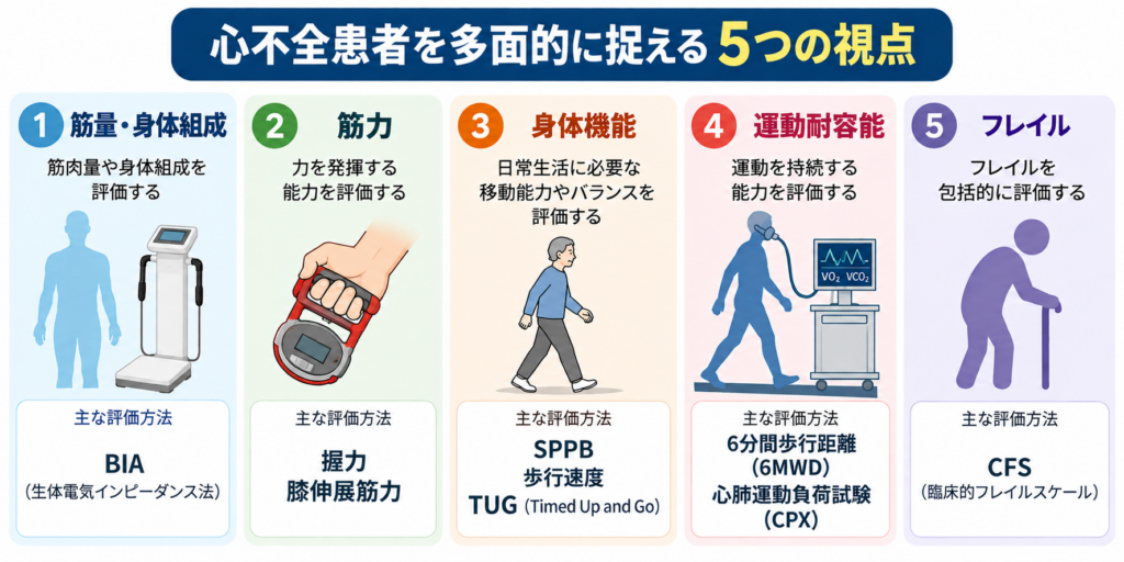 心不全の筋力低下と身体機能を評価する5つの視点