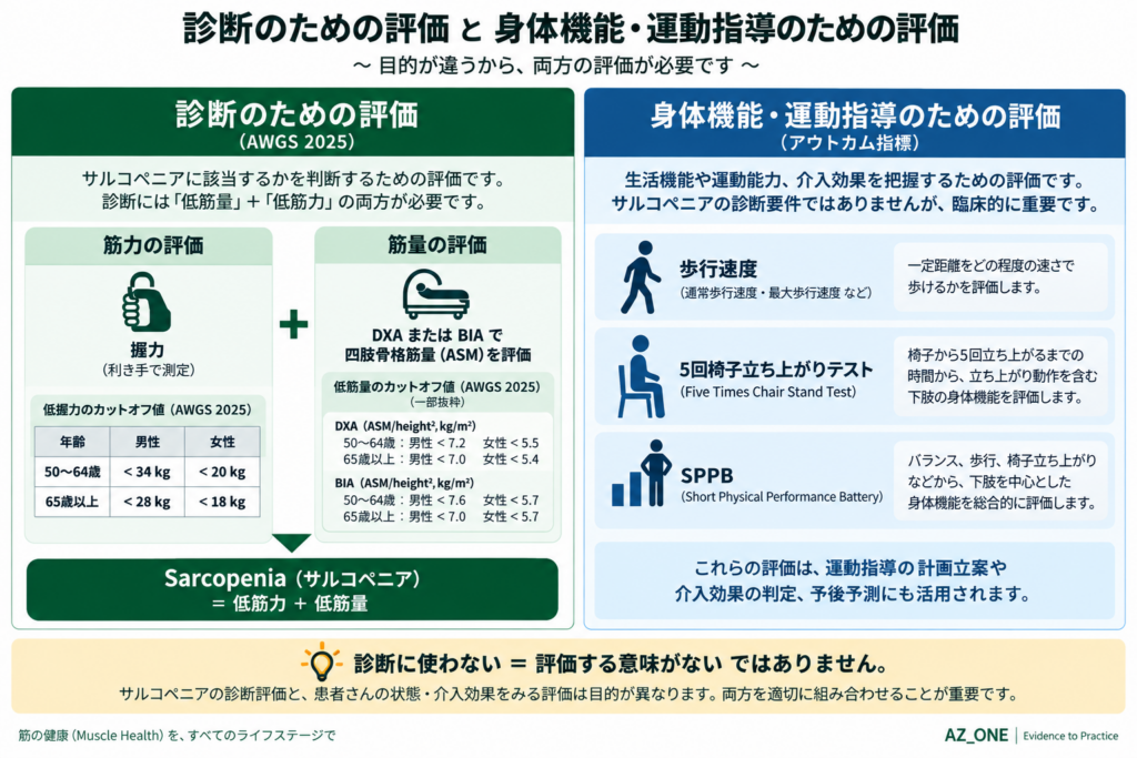 サルコペニアの診断と身体機能・運動指導のための評価
